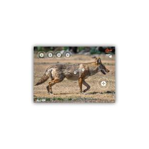 Allen Company EZ Aim Splash Coyote Targets
