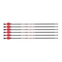 Air Venturi .50 Cal Air Bolt, 6 Pack 0.50