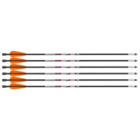 Air Venturi .45 Cal Air Bolt, 6 pack 0.45