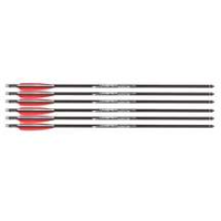 Umarex AirSaber Arrows, 6 pack
