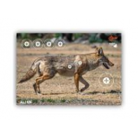 Allen Company EZ Aim Splash Coyote Targets