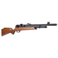 Beeman Raider, .22 Caliber 0.22