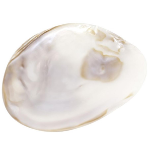 Markys Hand-Carved Mother of Pearl Caviar Serving Plate - 4 Inch - $199.80 at Gourmet Food World