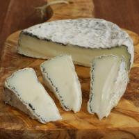 Mini Buchettes - Doigts de Chevres