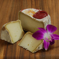 Soureliette de Fedou