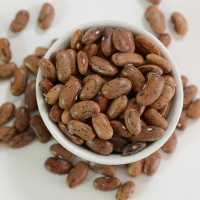 Rattlesnake Beans - Dry