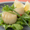 Dry Sea Scallops