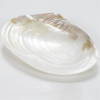 Hand Carved Mother of Pearl Caviar Serving Plate