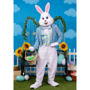 Deluxe Easter Bunny Costume