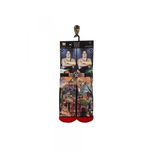 WWE Andre the Giant Sublimated Adult Socks Odd Sox