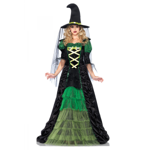Storybook Witch Costume for Women