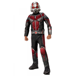 Ant Man Costume for a Child