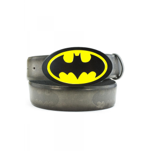 DC Comics Batman Logo Buckle and Belt
