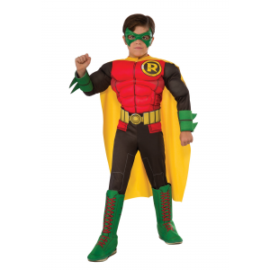 DC Comics Deluxe Robin Costume for kids