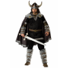 Adult Plus Size Viking Warrior Costume
