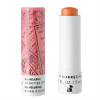 Korres Mandarin Lip Butter Stick Peach 0.17oz / 5ml