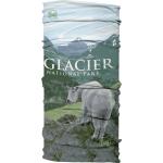 Buff Coolnet Uv National Parks