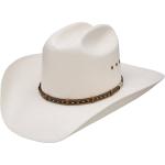 Stetson Gunfighter