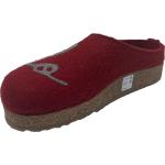 Haflinger Grizzly Lovely