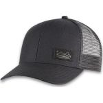 Pistil Men's Dean Cap