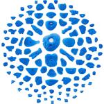 Trango Home Gym 100 Kit