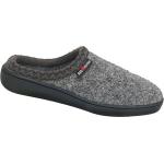 Haflinger At Speckle