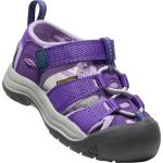 Keen Toddler Newport H2