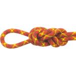 Maxim Ropes Apex 9.9 Mm Climbing Rope