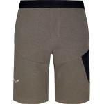 Salewa Men's Lavaredo Hemp Train Shorts