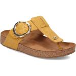 Haflinger Round Buckle Corinna