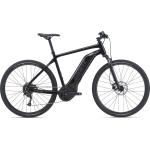 Giant Men's Roam E Gts
