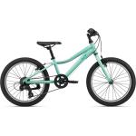 Giant Women's Enchant