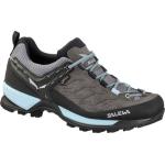 Salewa Women's Mtn Trainer Gtx