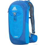 Gregory Men's Miwok 12