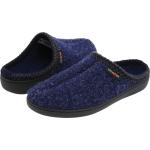 Haflinger At Speckle