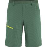Salewa Men's Puez 3 Dst Shorts