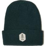 Coal Headwear The Scout Beanie