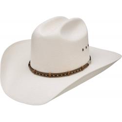 Stetson Gunfighter