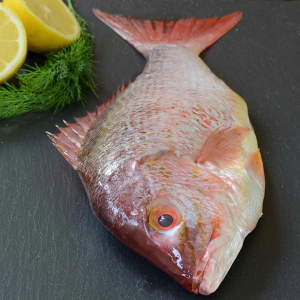 Red Snapper, Whole, Gutted - 2 lb snapper