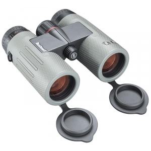 Bushnell Nitro Binocular - 10x36mm Roof Prism Gun Metal Gray
