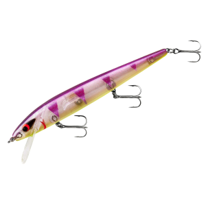 Smithwick Perfect 10 Rogue Jerkbait 5-1/2" Perchase