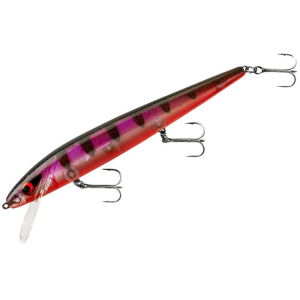 Smithwick Perfect 10 Rogue Jerkbait 5-1/2" Geneva