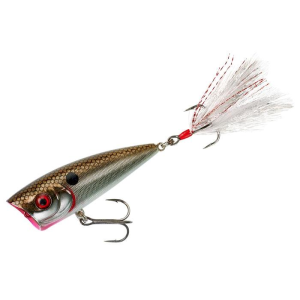 Booyah Boss Pop Arkansas Shiner