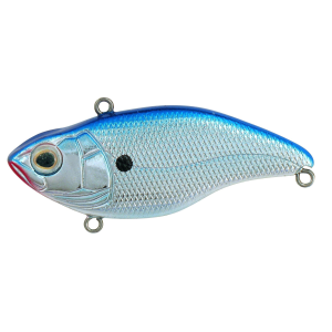 Spro Aruku Shad Jr. Chrome Blue
