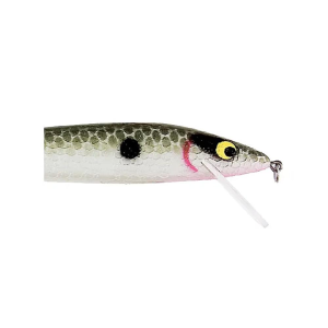 Smithwick Smithwick Suspending Rattlin' Rogue Jerkbait 4-1/2" Avocado Shad - $8.16 at Natchez Shooting & Outdoors