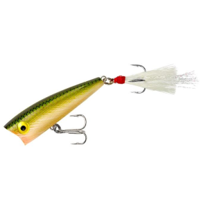 Rebel Teeny Pop R Tennessee Shad