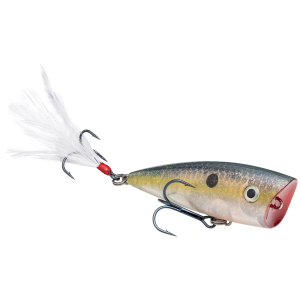 Strike King HC KVD Splash Jr Clear Ghost Sexy Shad