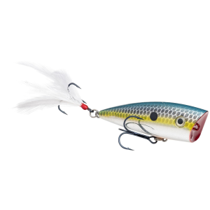 Strike King HC KVD Splash Jr Chrome Sexy Shad