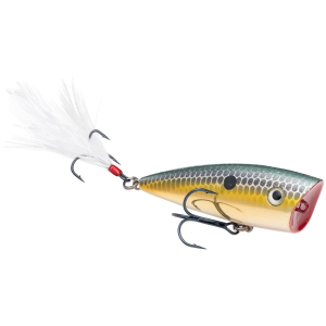 Strike King HC KVD Splash Jr Gold Sexy Shad