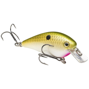 Strike King KVD Squarebill 1.0 Crankbait 2" 1/4 oz TN Shad